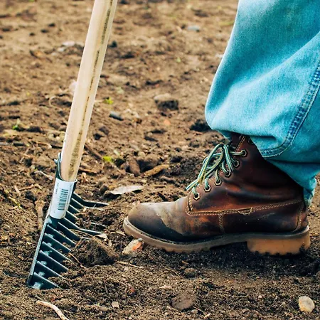 Garden - With Garden View