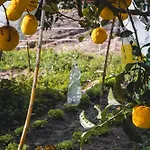Garden - With Garden View * Montijo