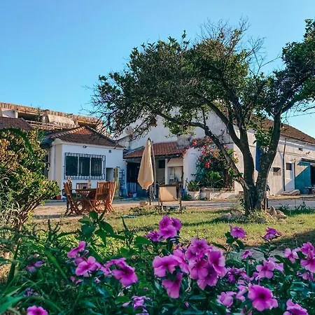 Garden - With Garden View * Montijo