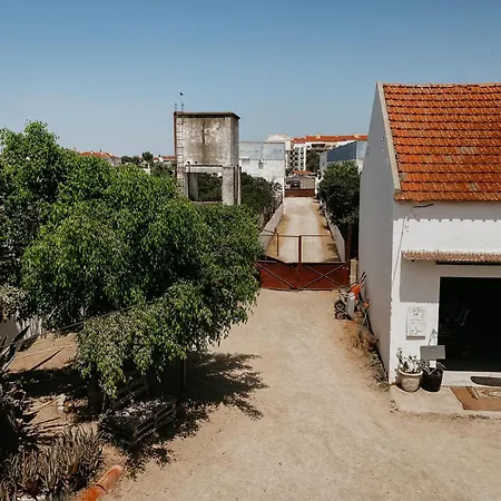 Garden - With Garden View *